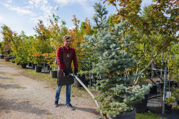 Best Arborist Consultation Services  in Santa Claus, IN